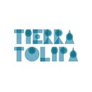 Tipología Tierra Tulipa. Projekt z dziedziny T i pografia użytkownika Ana Sancho - 01.05.2020