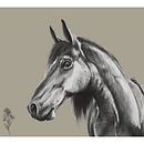 Horse Sketch. Digital Drawing project by Iris Santos - 05.21.2020
