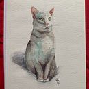 Mi gatito Clemente. Un proyecto de Pintura a la acuarela de Paulina Brito - 21.05.2020