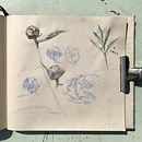 Mi Proyecto del curso: Cuaderno botánico en acuarela. Un proyecto de Ilustración botánica de miriam_maria_st - 23.05.2020