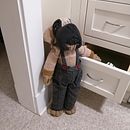 Fred and Sheperd. Projekt z dziedziny To i art użytkownika Ruby Pizarro - 03.01.2020