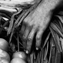 Rutina . Fotografi Dokumenter proyek oleh wilsonninophoto - 05.24.2020