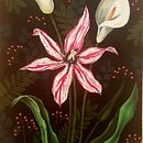 Mi Proyecto del curso: Pintura botánica con acrílico. Botanical Illustration project by evirol - 05.26.2020