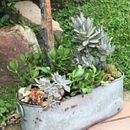 Mi Proyecto del curso: Mini jardín. L, and scape Architecture project by milmagarcia56 - 05.26.2020