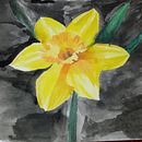 Primeros trabajos. Een project van  Botanische illustratie van Camila Grüebler - 25.05.2020