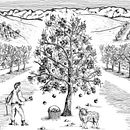 ILUSTRACIÓN: Sidras Exner. Drawing, Traditional illustration & Ink Illustration project by China Passalia - 05.27.2020