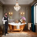 3 Ein Projekt aus dem Bereich Fotoretuschierung von ANTONIO MARTIN - 27.05.2020