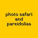 photo safari and pareidolias. Traditional illustration project by Jennifer Boyd - 05.29.2020