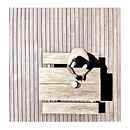 Mi Proyecto del curso: Fotografía minimalista para Instagram Ein Projekt aus dem Bereich Artistische Fotografie, Smartphonefotografie und Fotografie für Instagram von Giovanni Arrieta - 30.05.2020