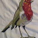 Mi Proyecto del curso: Pintar con hilo: técnicas de ilustración textil. Un proyecto de Bordado de Gisele Filzmoser - 01.06.2020