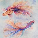 Peces betta . Seni Rupa proyek oleh bmjhojaraska - 06.03.2020