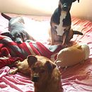 Mi Proyecto del curso: Fotografía profesional para Instagram PAI. Projekt z dziedziny Fotografia na Instagram użytkownika Thaíz Millan - 03.06.2020