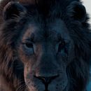 Lion. Un proyecto de 3D de Jonathan Aceituno Fuentes - 04.06.2020