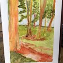 Jardín de Acatlán  . % Rogelio Aurelio Rojas tarafından hazırlanan Pe, zaj Mimarisi, Sulubo, Ve a Resim projesi - 01.29.2020