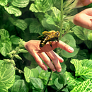 Tocando manos con flores.. Een project van Grafisch ontwerp van Ben Picado - 07.06.2020