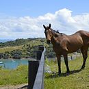 New Zealand. Un progetto di Fotografia all'aperto di Pao Meggiolaro - 08.06.2020