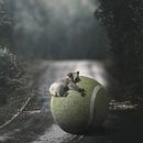 Animales en contextos poco comunes: Fotomontaje surrealista con Photoshop  . % Natanael Mendieta Mendez tarafından hazırlanan Fotoğrafik Kompozis, on, Dijital Fotoğrafçılık, Ve Fotoğraf Rötuşlama projesi - 06.09.2020