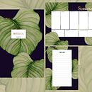 My project in Botanical Illustration with Watercolors course. Traditional illustration project by ashleymayse - 06.10.2020