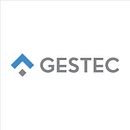 Mi Proyecto del curso: Re diseño de logotipo Gestec. Un projet de Architecture de Francisco Pérez Beltrán - 15.06.2020