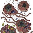 Vida antes de lo dinosaurios. Un projet de Dessin numérique de Rosa Rivero - 11.06.2020