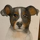Dog Portrait watercolor. Un progetto di Pittura ad acquerello di Salma Shabayek - 11.06.2020