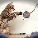 Mi Proyecto del curso: Fotomontaje surrealista con Photoshop . Een project van Digitaal ontwerp van Patricia Iglesias - 11.06.2020