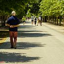 Un paseo por El Retiro de Madrid . Fotografie de Angeles Andres - 06.11.2020