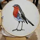 Mi Proyecto del curso: Pintar con hilo: técnicas de ilustración textil. Een project van Borduurwerk van Gisel Tapia Araya - 11.06.2020