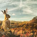 Exploradores: Fotomontaje surrealista con Photoshop . Een project van Audiovisuele productie van julio_26 - 13.06.2020