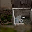 Fotografía Callejera. Projekt z dziedziny Fotografia użytkownika Miguel Reyes Resurrección - 13.06.2020