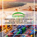 Mi Proyecto del curso: ComexVal SpA - Gestión de Comercio Exterior. Marketing project by Rodrigo Pablo Valenzuela Millán - 06.14.2020