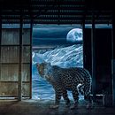 Meu projeto do curso: Segredos da fotomontagem e do retoque criativo. Un progetto di Composizione fotografica e Design digitale di Rogério Nascimento - 15.06.2020