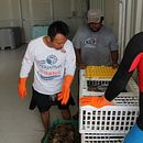 PescaDATA campaña digital. Un projet de Développement d'applications, Marketing , et Réseaux sociaux de Arturo Hernández Velasco - 15.06.2020