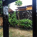 Historia de una celda. Instagram Photograph project by Indira Eyzaguirre - 06.03.2020