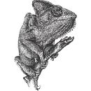 Hand-drawn animal art. Desenho artístico, Pintura digital, Desenho, Ilustração tradicional, Ilustração com tinta, Desenho a lápis, Desenho realista, e Esboçado projeto de Душица Нешковић - 24.07.2020