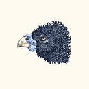 Ilustraciones. Un proyecto de Dibujo, Diseño gráfico e Ilustración tradicional de Juan Manuel Rico Londoño - 20.06.2020