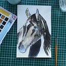 Animalario  Ein Projekt aus dem Bereich Traditionelle Illustration von liliandrearuiz - 20.06.2020