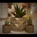 Macetas . Decoration project by Lorena Carpio - 06.22.2020