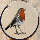 Mi Proyecto del curso: Pintar con hilo: técnicas de ilustración textil. Un progetto di Ricamo di Sebastian Jaque Ortiz - 22.06.2020