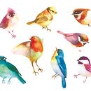 My project in Experimental Watercolor Techniques for Beginners course. Een project van  Ontwerp, Traditionele illustratie y Aquarelschilderen van Isabella Testai - 30.06.2020