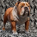 Mustang the bulldog Ein Projekt aus dem Bereich 3D, 3-D-Design, Design von 3-D-Figuren und Skulptur von Luis Yrisarry Labadía - 23.06.2020