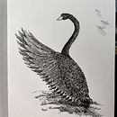 Pen Drawings. Projekt z dziedziny  R i sunek użytkownika benjawi - 23.06.2020