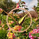 MARIPOSA. Un progetto di Fotografia con smartphone di Arahón Hernández - 23.06.2020
