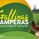 Etiqueta para Huevos Ecológicos. Design gráfico projeto de William Heredia - 25.06.2020