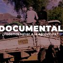 Documental-¿Podemos salvar a la agricultura?. Film, Video, TV, Video Editing, and Filmmaking project by Yeyé Castillejo Peña - 06.27.2020