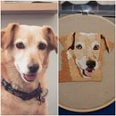 Mi Proyecto del curso: Needle painting para principiantes. Embroider project by Fernanda Uribe - 06.27.2020