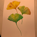 Mi Proyecto del curso: Cuaderno botánico en acuarela. Een project van Aquarelschilderen van Carolina García Mardini - 16.07.2020