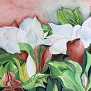 Studio di magnolie sull'albero. Un progetto di Illustrazione botanica di mirtillo52 - 01.07.2020