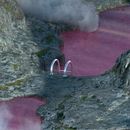 Surreal landscapes. Un proyecto de 3D, Diseño, Diseño 3D, Diseño de iluminación y Diseño digital de Pablo Schiavo - 02.01.2020