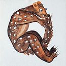 Animalphabet! . Ilustrație tradițională de Hannah Smith - 07.03.2020